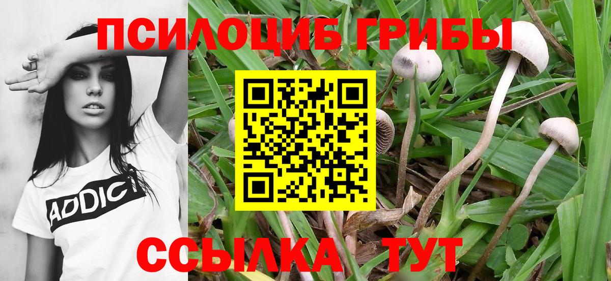 Псилоцибиновые грибы Magic Shrooms Клин