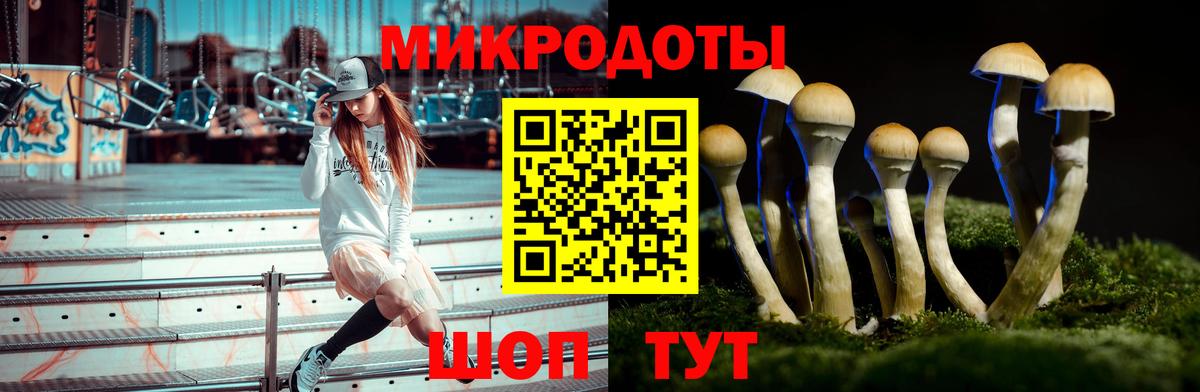 купить закладку  Вход с VPN  Клин  Галлюциногенные грибы Cubensis 