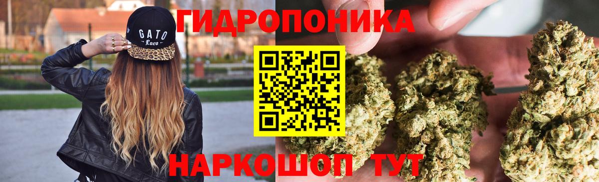 Бошки марихуана планчик  Канабис план  Вход с VPN  Каннабис семена  Бошки марихуана Ganja  Клин 